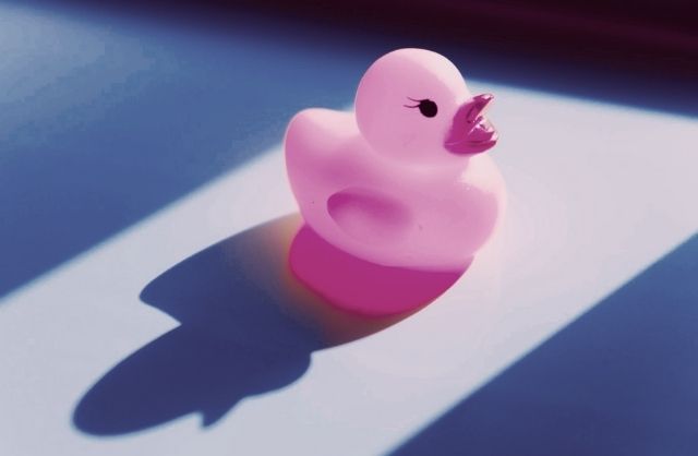 Rubber duck